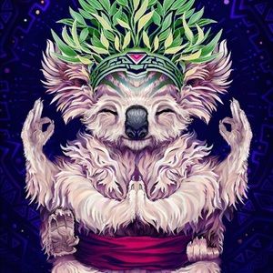 Meet your Posher, Jonah