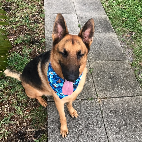 Meet your Posher, Miriam - Picture 2 of 4