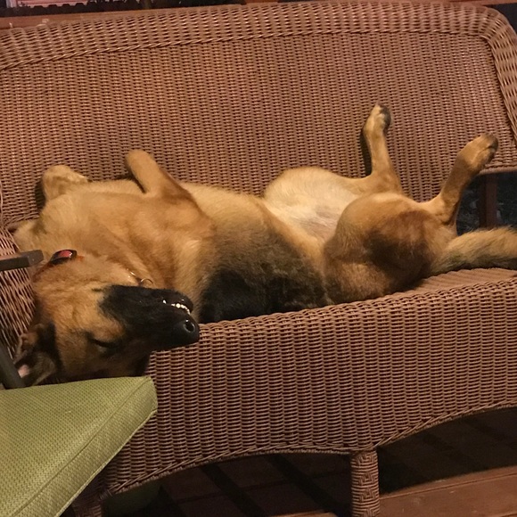 Meet your Posher, Miriam - Picture 4 of 4