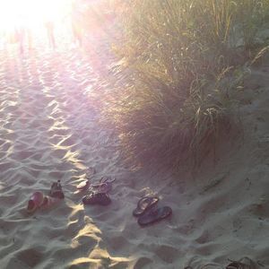 Meet your Posher, Abigail