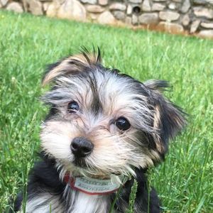 Meet your Posher, Cassie