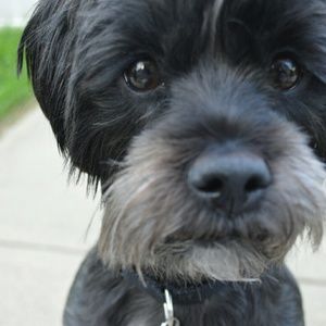 Meet your Posher, Jordan