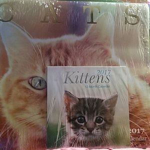 used for pictures ONLY 2017 calendar cat's and kittens 12 month calendar