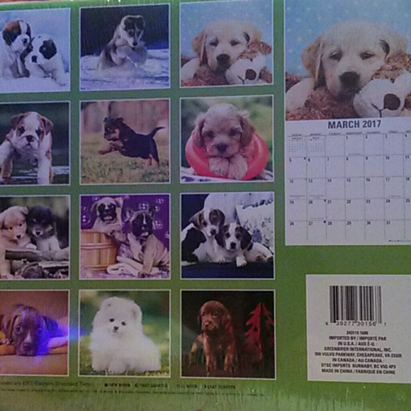 2017 calendar PUPPIES and Dogs 12 month calendar used for pictures ONLY - Picture 2 of 3