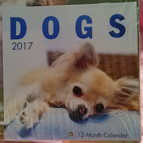 2017 calendar PUPPIES and Dogs 12 month calendar used for pictures ONLY - Picture 3 of 3