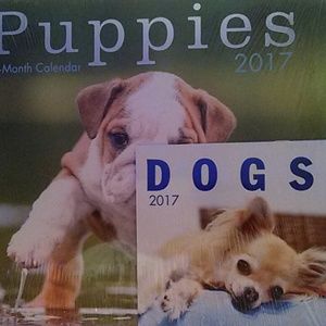 2017 calendar PUPPIES and Dogs 12 month calendar  used for pictures ONLY