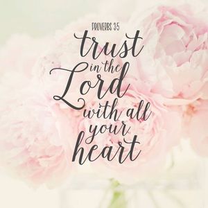 Meet your Posher, Yarely