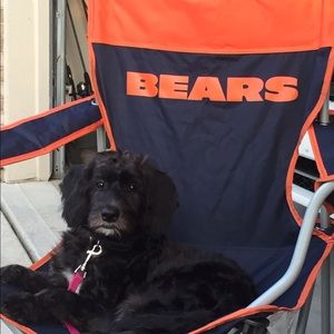 Meet your Posher, Dawn