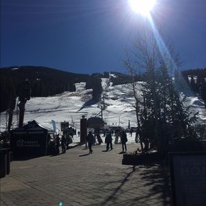 Meet your Posher, Arden