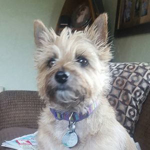 Meet your Posher, Susan