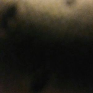 Meet your Posher, Robbie