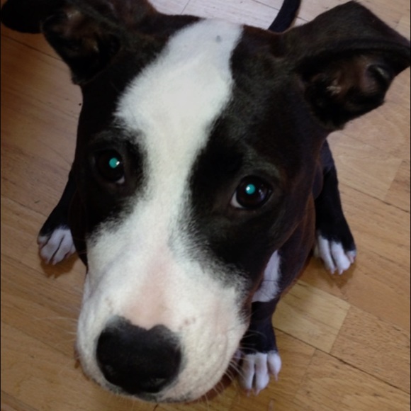 Meet your Posher, Brent