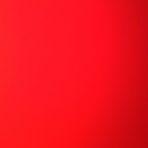 Meet your Posher, Rylee