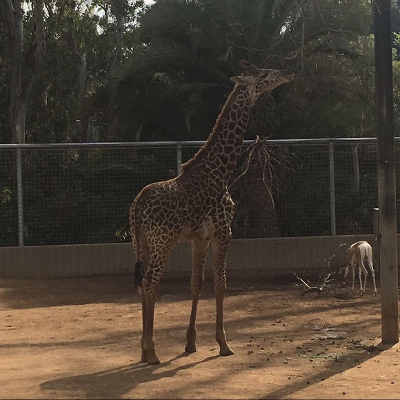 Meet your Posher, Cecilia