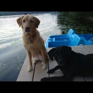 Meet your Posher, Krista