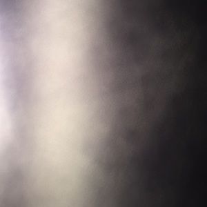 Meet your Posher, Allen