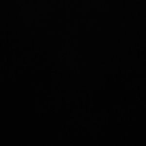 Meet your Posher, Ezrah