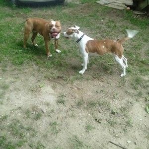 Meet your Posher, Randi