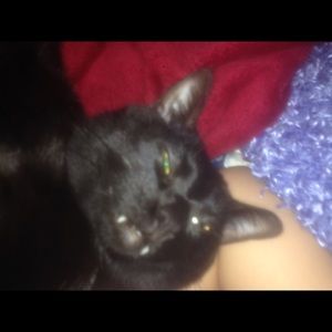 Meet your Posher, Brynn