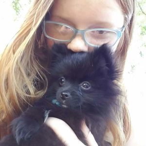 Meet your Posher, Lily