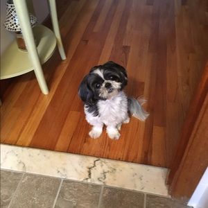 Meet your Posher, Lisa