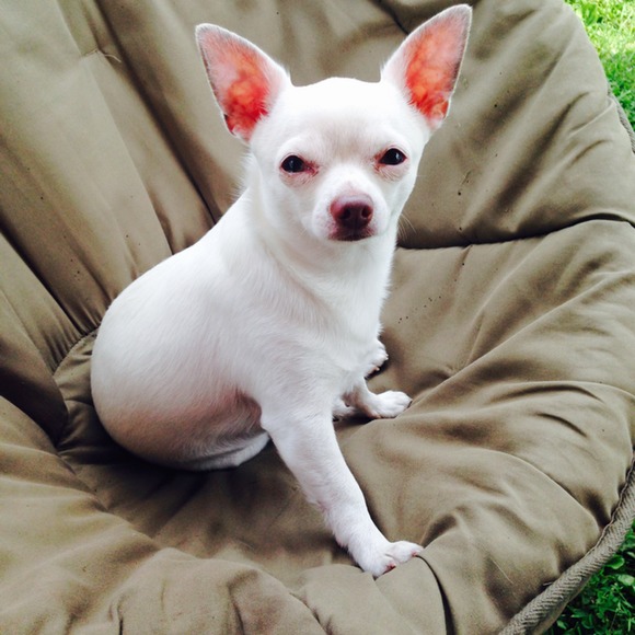 Meet your Posher, Patricia