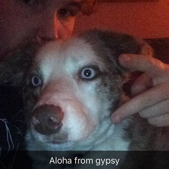 Meet your Posher, Damon - Picture 1 of 1