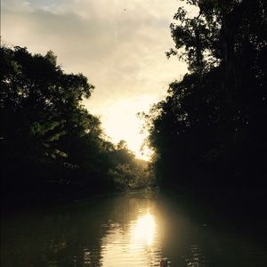 Meet your Posher, Jade