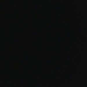 Meet your Posher, Priscilla