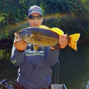 Meet your Posher, Shane