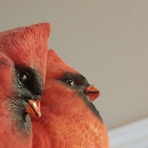 Meet your Posher, Valorie