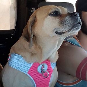 Meet your Posher, Virginia