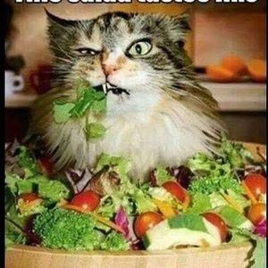 Meet your Posher, Chrissy