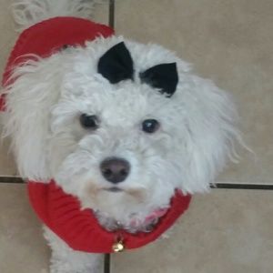 Meet your Posher, Angie