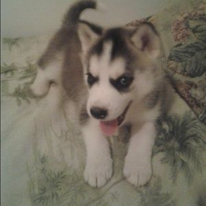 Meet your Posher, Erica