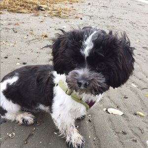 Meet your Posher, Laura