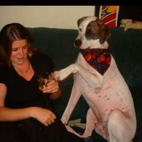 Meet your Posher, Stephanie - Picture 2 of 4