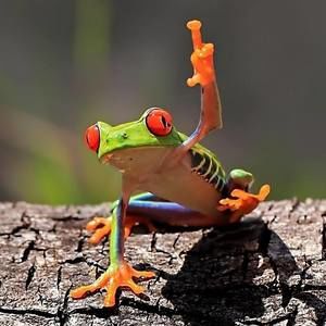 Meet your Posher, David