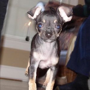 Meet your Posher, Lindsey