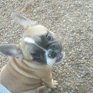 Meet your Posher, Shannon