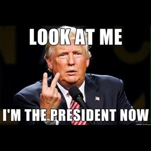 Meet your Posher, Austin