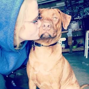 Meet your Posher, Sam