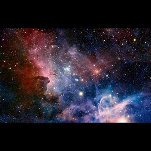 Meet your Posher, Dillon