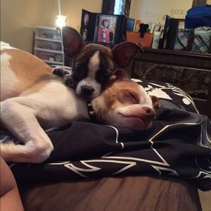 Meet your Posher, Sabrina