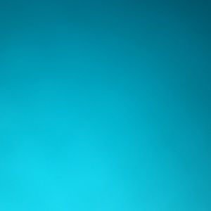 Meet your Posher, Nijah