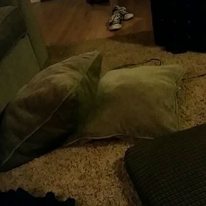 Meet your Posher, Teddy