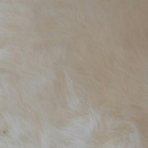 Meet your Posher, Lina