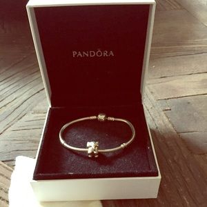 Pandora Bracelet