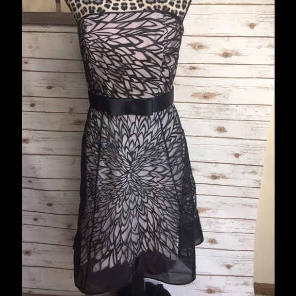 Stunning WHBM Party Dress!!!!