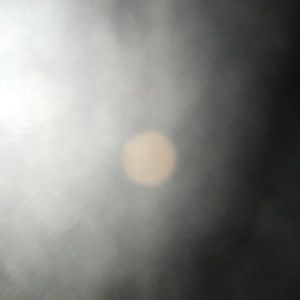 Meet your Posher, Dulce